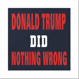 DONALD TRUMP DID NOTHING WRONG Posters and Art